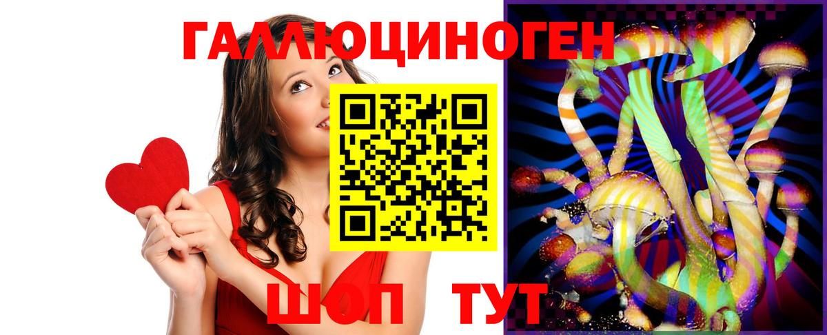 Славянск-на-Кубани  Псилоцибиновые грибы мухоморы  Вход с VPN 